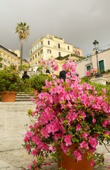 Fototapeta na wymiar Rome is in full blossom.