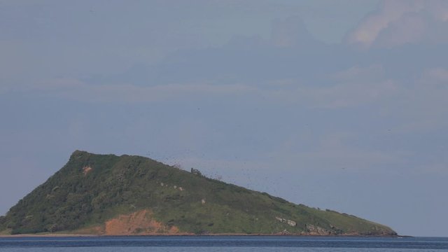 Sea Bird Island off Costa Rica coastline near Puerto Soley