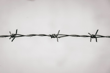 barbed wire on a white background. Macro shooting