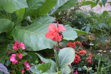 Rot zwischen gr&uuml;n