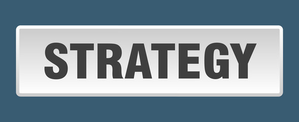 strategy button. strategy square white push button
