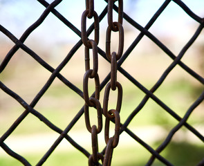 steel rusty chain on a beautiful background