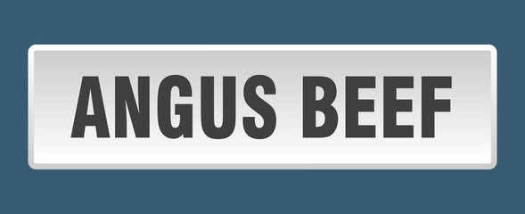 angus beef button. angus beef square white push button