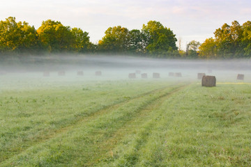 A tractor leaves a tire trail in the grass leading into the field with hay bales and fog