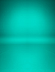 studio paper backdrop mint