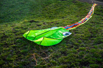 green kite lies on green grass