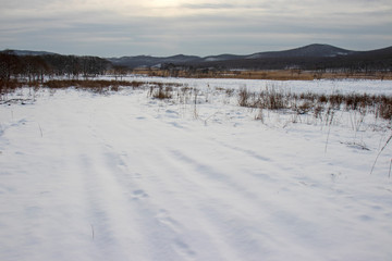 Winter landscape, it snowed.
