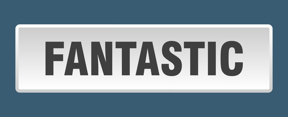 fantastic button. fantastic square white push button