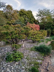  autumn park landscape with trees