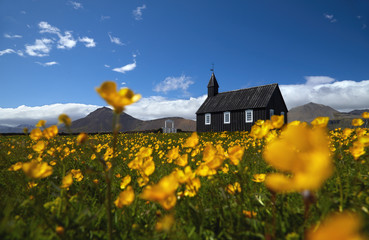 Black wooden church Budakirkja at Snaefellsnes peninsula, Budir village, Western Iceland, Europe. Summer landscape with chapel, mountains and flowers. Famous landmark. Travelling concept background.