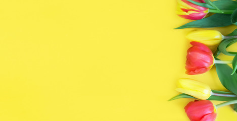 The spring sale.Fresh red and yellow tulips in yellow on the background.Spring festival.Greeting...