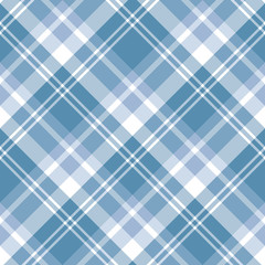 Seamless pattern in fascinating discreet blue and white colors for plaid, fabric, textile, clothes, tablecloth and other things. Vector image. 2