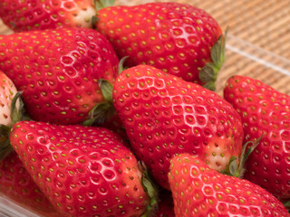 イチゴ　とちおとめ