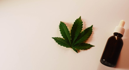 Cannabis medical brand banner. Brown bottle with green leaf.  Copy space. Hemp oil. Marijuana medicine 