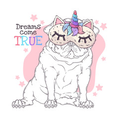 Hand drawn illustration of the cute pug dogin a night mask Vector.