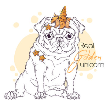 Hand drawn illustration of the pug dog with a unicorn horn Vector.