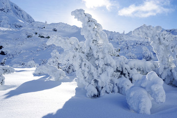 Fototapeta na wymiar Winter alpine landscape in National Park Retezat, Carpathians, Romania, Europe. Snow covered moutains scenery