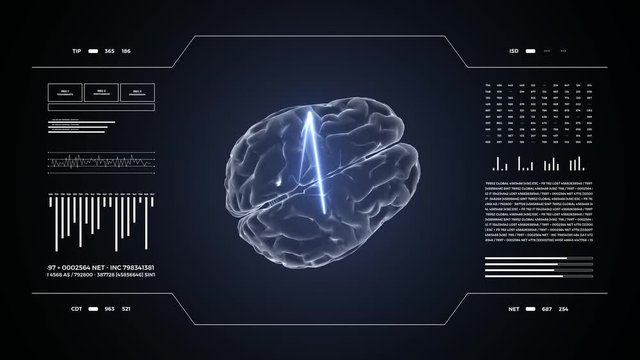 Medical UHD abstract animation. Laboratory dashboard interface. Human brian study on diagnostic computer display.