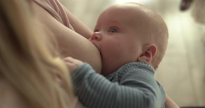 Portrait of cute baby sucking mom's breasts and looking at camera
