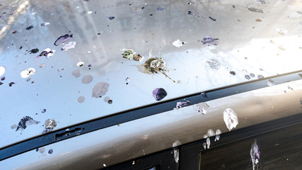 Roof of a Silver Car Covered with Bird Excrement, Unsuitable Place for Parking