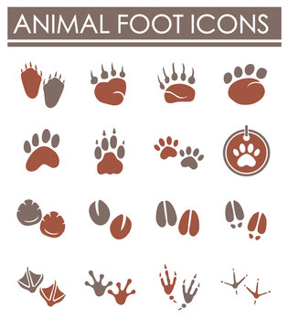 Animal foot print icons set on background for graphic and web design. Creative illustration concept symbol for web or mobile app