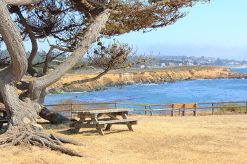 Along the boardwalk, in Cambria, California