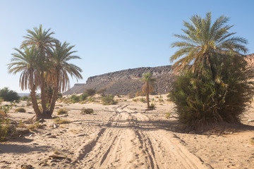 Sandy Off Road Track in the Mauritanian Sahara Desert