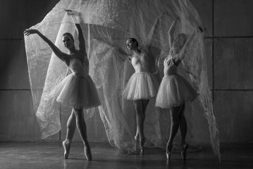 Three ballerinas dancing with big light cloth