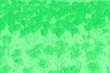 Naklejka na ściany i meble Blooming tulips flowers background. Green gradient background with flower pattern