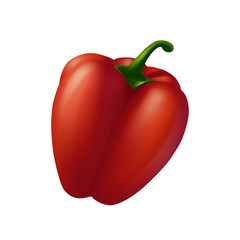 Bell pepper Illustration