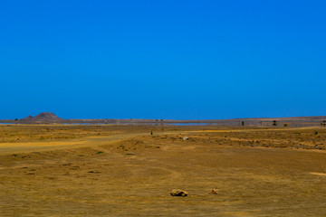 Ilha do Sal