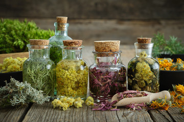 Bottles of tincture or infusion of healthy medicinal herbs and healing plants on wooden board....