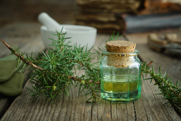 Bottle of juniper infusion or oil, mortar and Juniperus communis twigs. Herbal and homeopathic medicine.