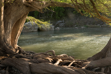 Guadalupe River State Park, Texas, US