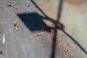 Liebesschloss am baum