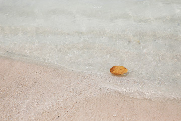 Beautiful Baby Beach in Aruba