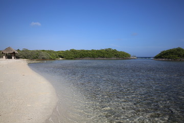Obraz premium Mangel Halto Beach in Aruba
