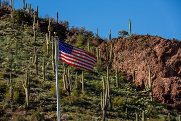 American flag on a hill in Arizona with a background of saguaro cactus