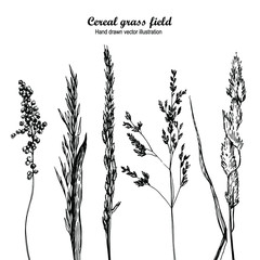 Cereal grass field hand-drawn pattern