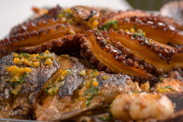 Seafood or closeup of a grilled octopus and fish decorated withherbs