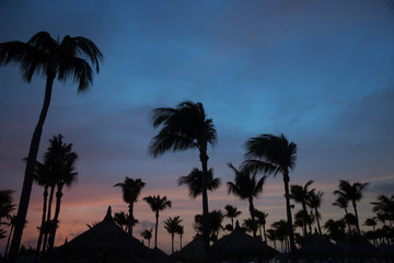 Obraz premium Beautiful Sunset on Palm Beach in Aruba