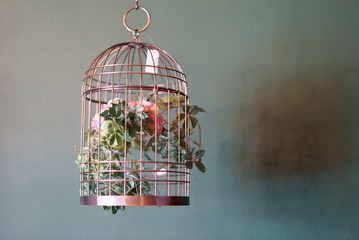 Fototapeta na wymiar Decorate plants in copper birdcages