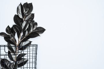 Black leaves with black basket on white background. Flat lay, top view, space.