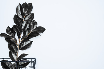 Black leaves with black basket on white background. Flat lay, top view, space.