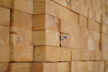 Timber department in Home center