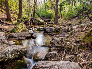 waterfall in the forest