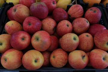 pommes bicolores
