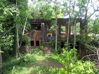 old wooden house in the forest