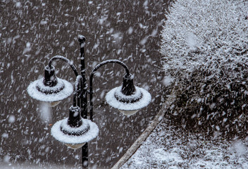 snow falls asleep a lonely street lamp