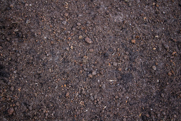 plowed land that woke up after hibernation close-up